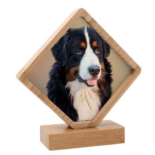 Custom Frames